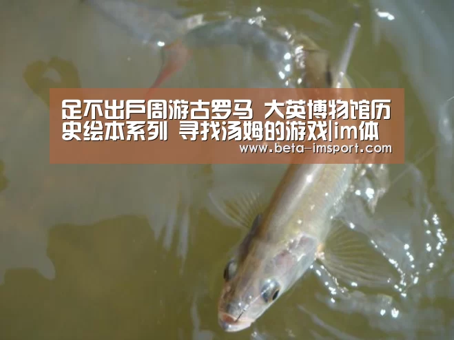 im体育下载