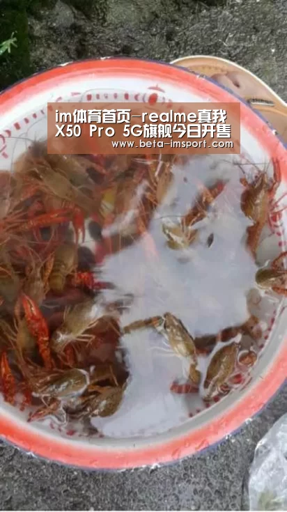 im体育首页