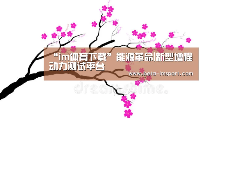 im体育