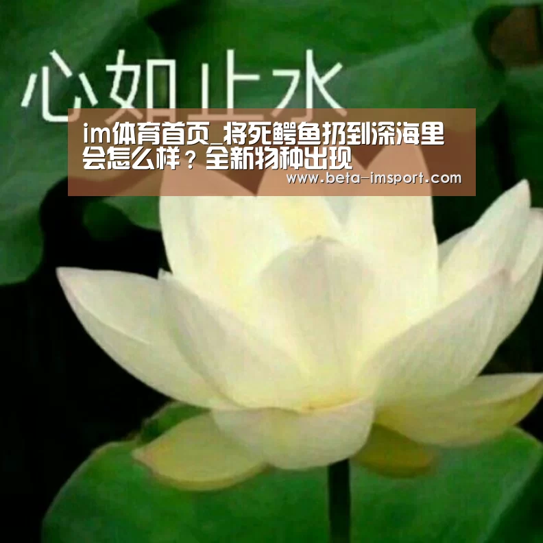 im体育
