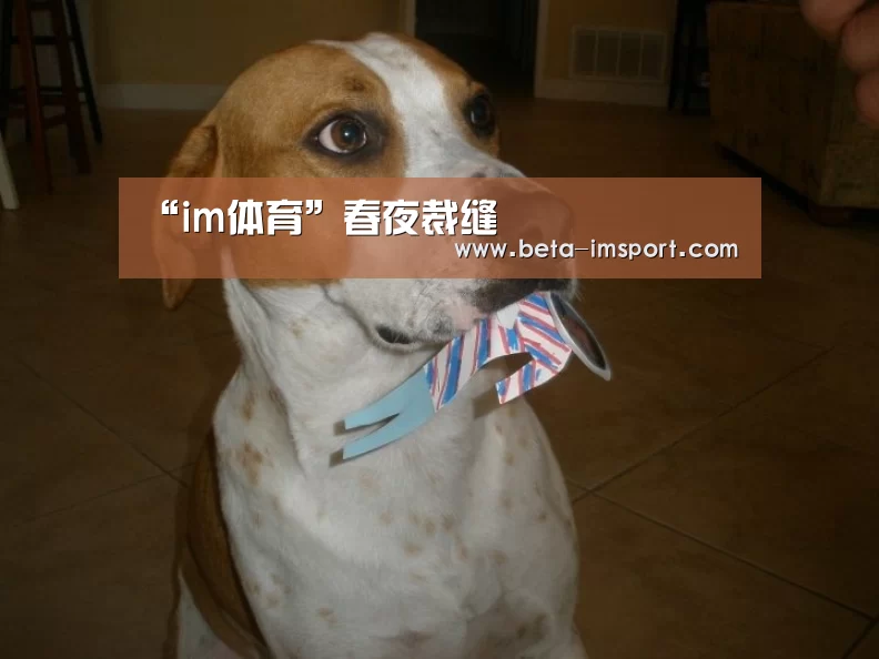 “im体育”春夜裁缝(图3) im体育首页