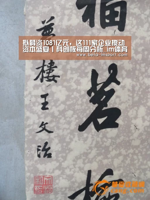 im体育下载