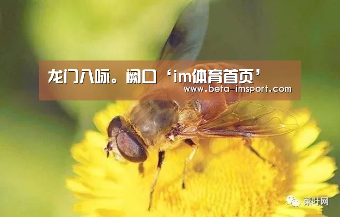 im体育