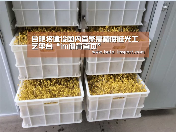 im体育下载