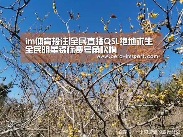 im体育下载