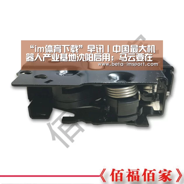 im体育投注