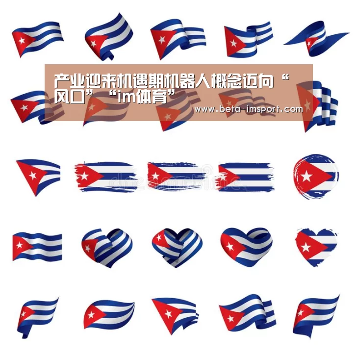 产业迎来机遇期机器人概念迈向“风口”“im体育”(图4) im体育首页