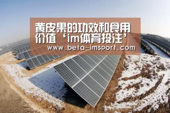 黄皮果的功效和食用价值‘im体育投注’(图3) im体育下载