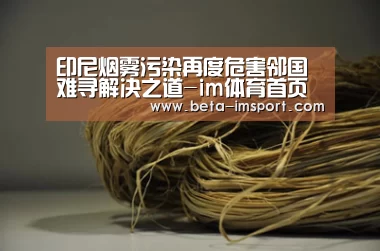 印尼烟雾污染再度危害邻国 难寻解决之道-im体育首页(图3) im体育下载
