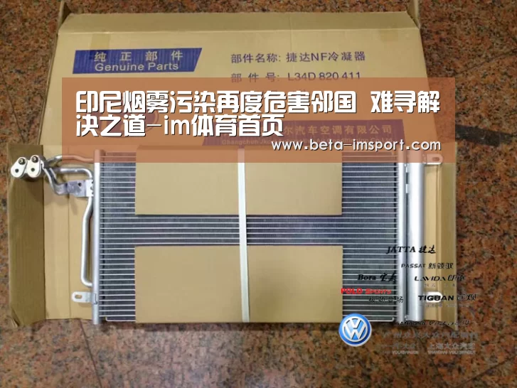 印尼烟雾污染再度危害邻国 难寻解决之道-im体育首页(图2) im体育下载