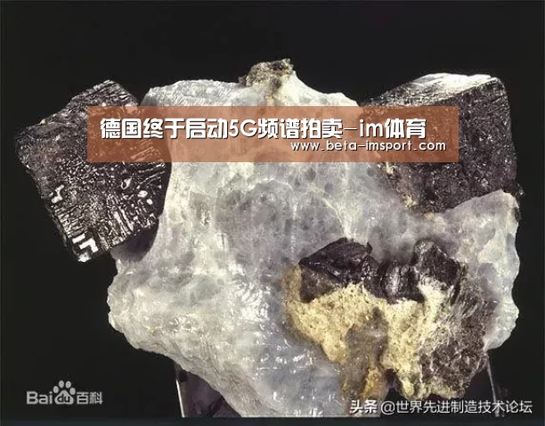 德国终于启动5G频谱拍卖-im体育(图1) im体育下载