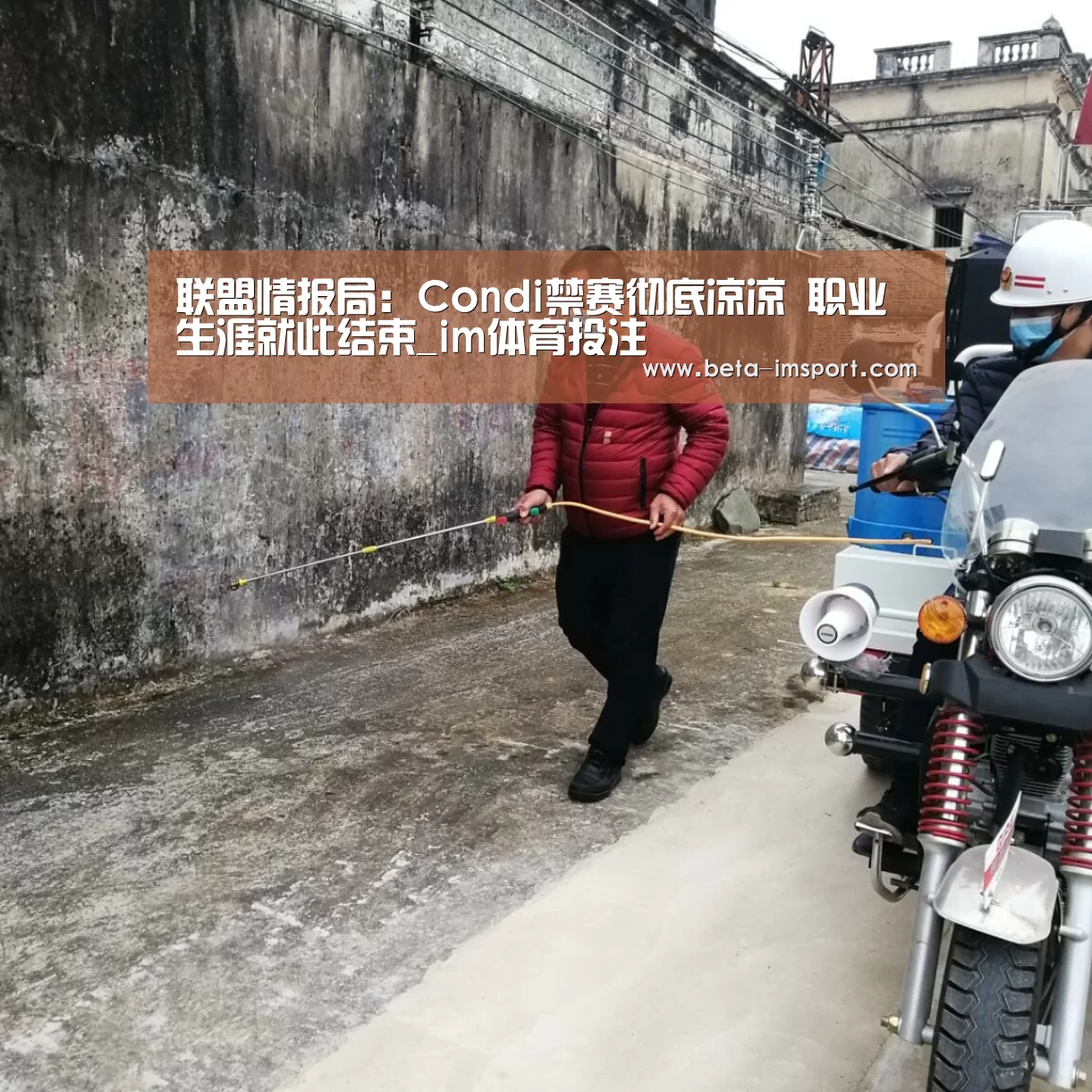 im体育下载