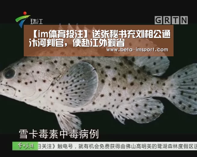 im体育首页